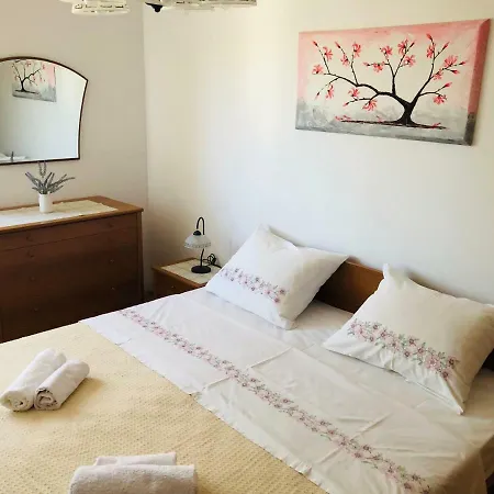 Rosita 1 * 로비니