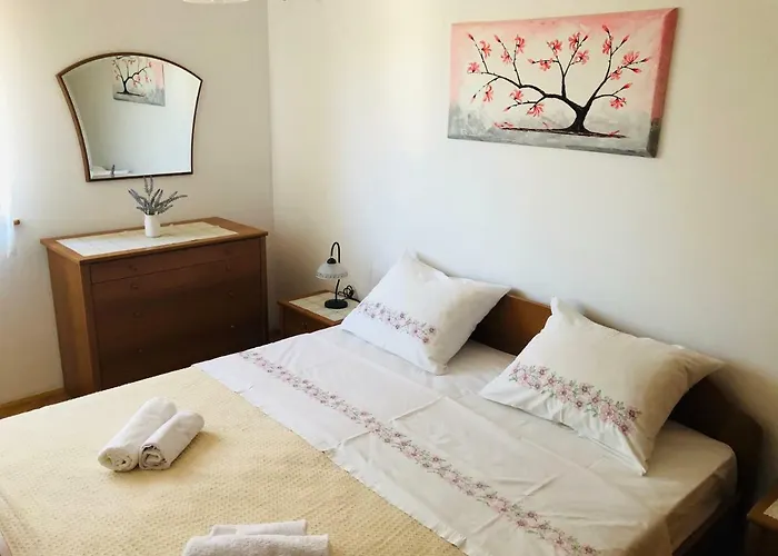 Rosita 1 * Ρόβινι